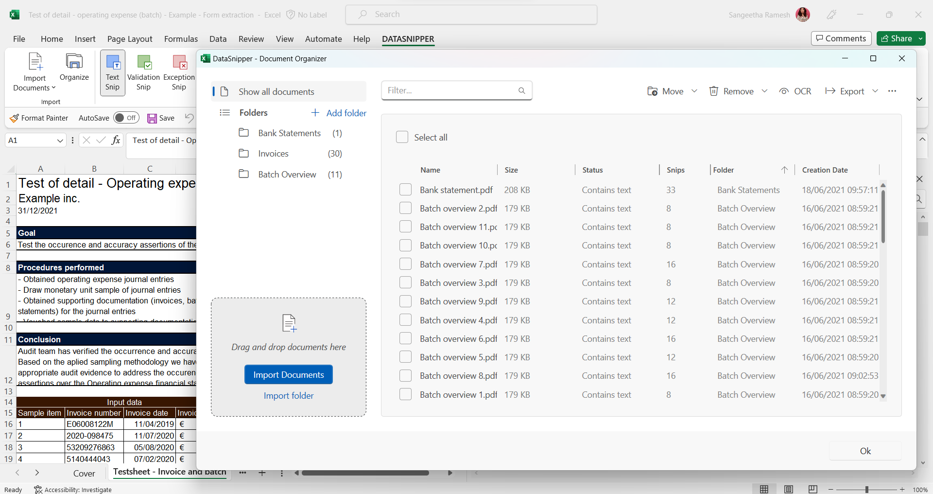 How To Perform Batch Payment Testing With Datasnipper